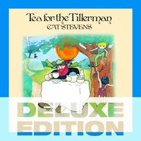 Cat Stevens - Miles From Nowhere