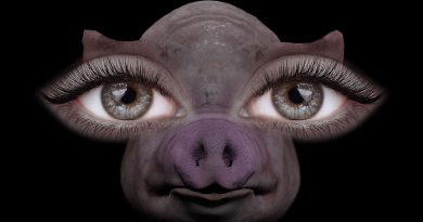 SOFIA ISELLA - Us and Pigs