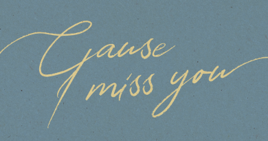 VAV - Cause I Miss You