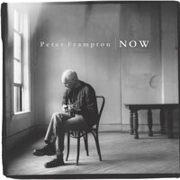Peter Frampton - While My Guitar Gently Weeps