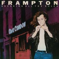 Peter Frampton - Wasting The Night Away