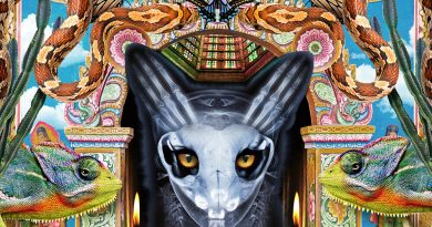 Galantis, Bali Bandits - Miracle