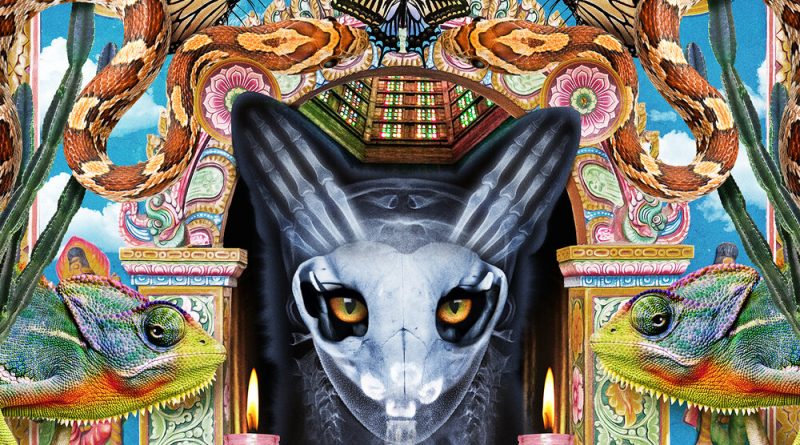 Galantis, Steve James - Bonfire