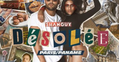 Shanguy - Désolée (Paris/Paname)