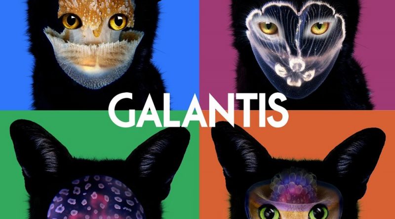 Galantis - Friend (Hard Times)