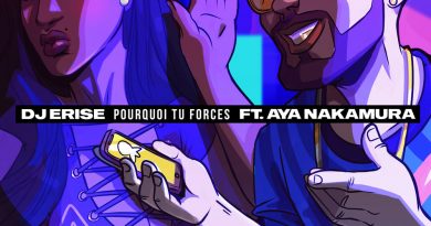 Dj Erise, Aya Nakamura - Pourquoi tu forces