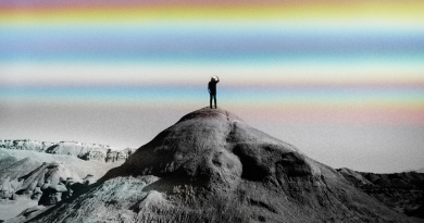 StayLoose, Andrew Paley - Cold Comfort
