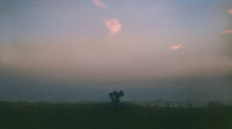 Fiji Blue - Affection