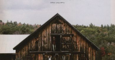 Hans Williams - Greywater