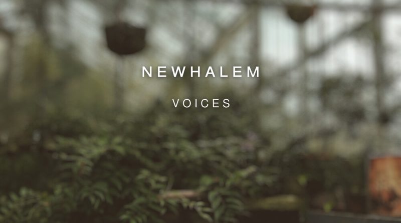 Newhalem - Undercover