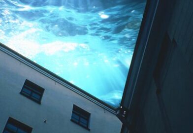 metaego — море metaego — море