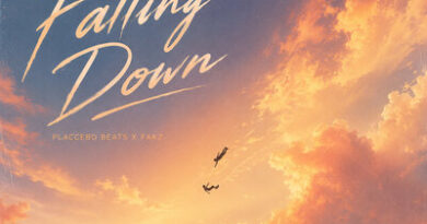 Placcebo Beats & Fakz — Falling Down Placcebo Beats & Fakz — Falling Down