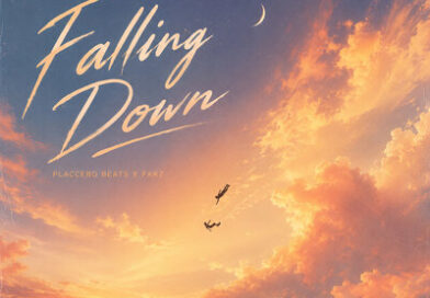 Placcebo Beats & Fakz — Falling Down Placcebo Beats & Fakz — Falling Down
